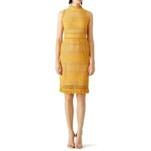 Shoshanna Cabrillo Lace pencil gold Dress sz 8
